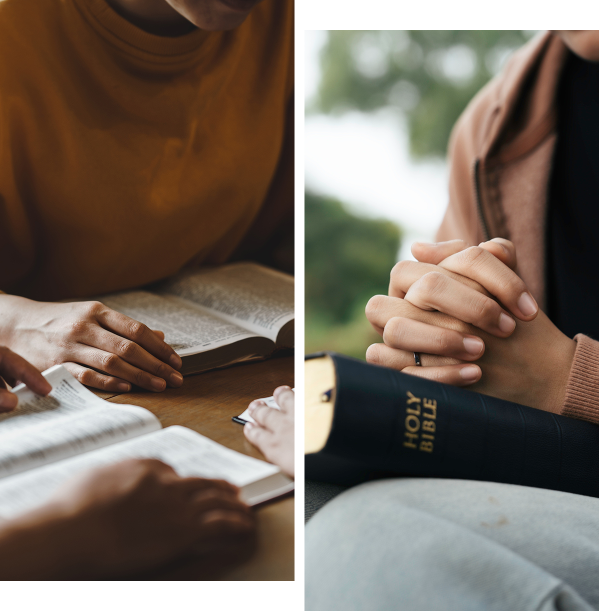 People reading and holding a Bible.
